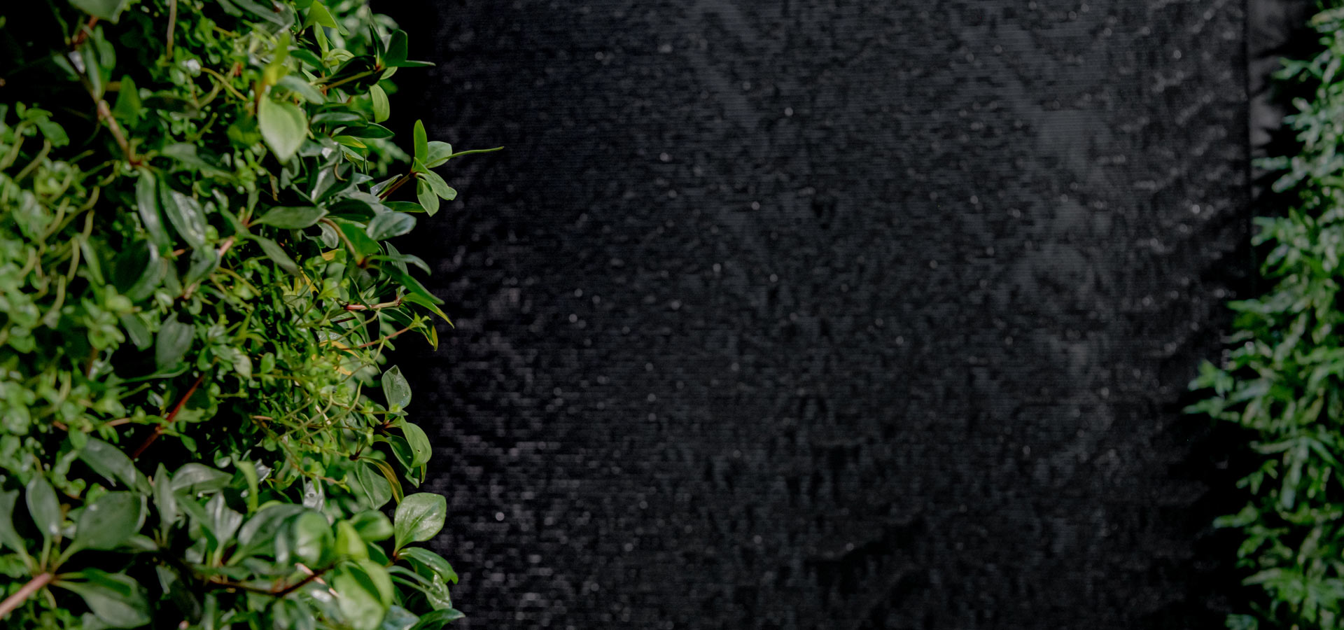 Gartenhof K�sters - Carolus Thermen