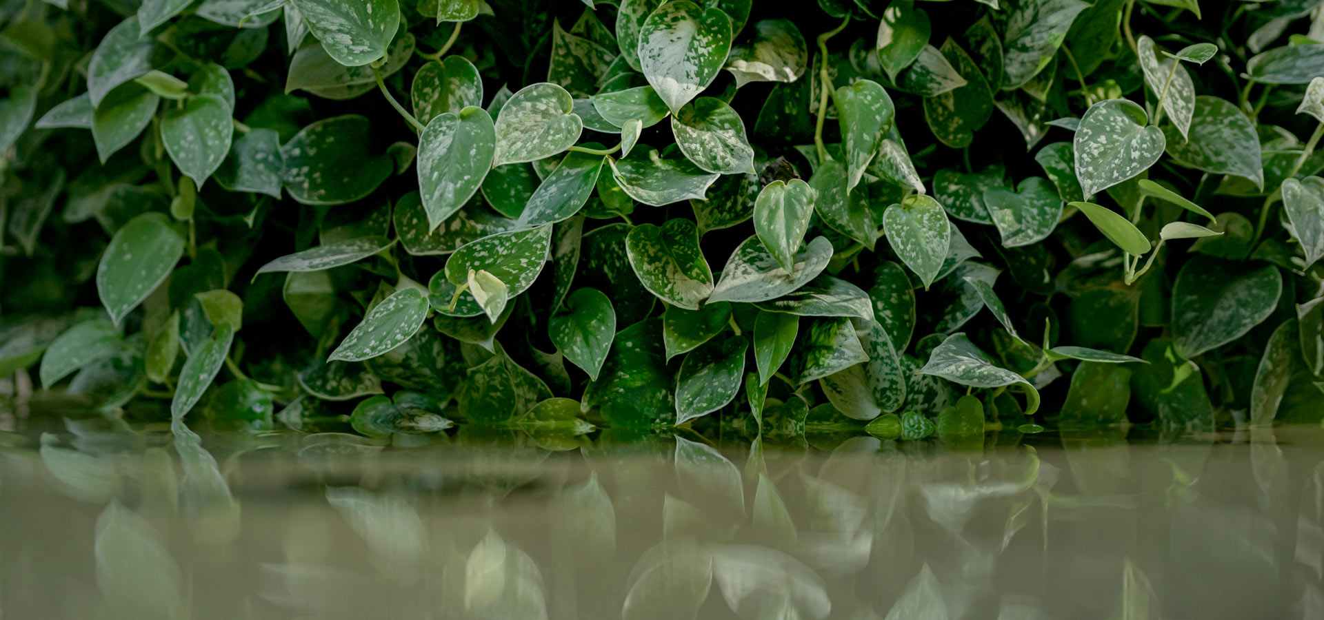 Gartenhof K�sters - Carolus Thermen