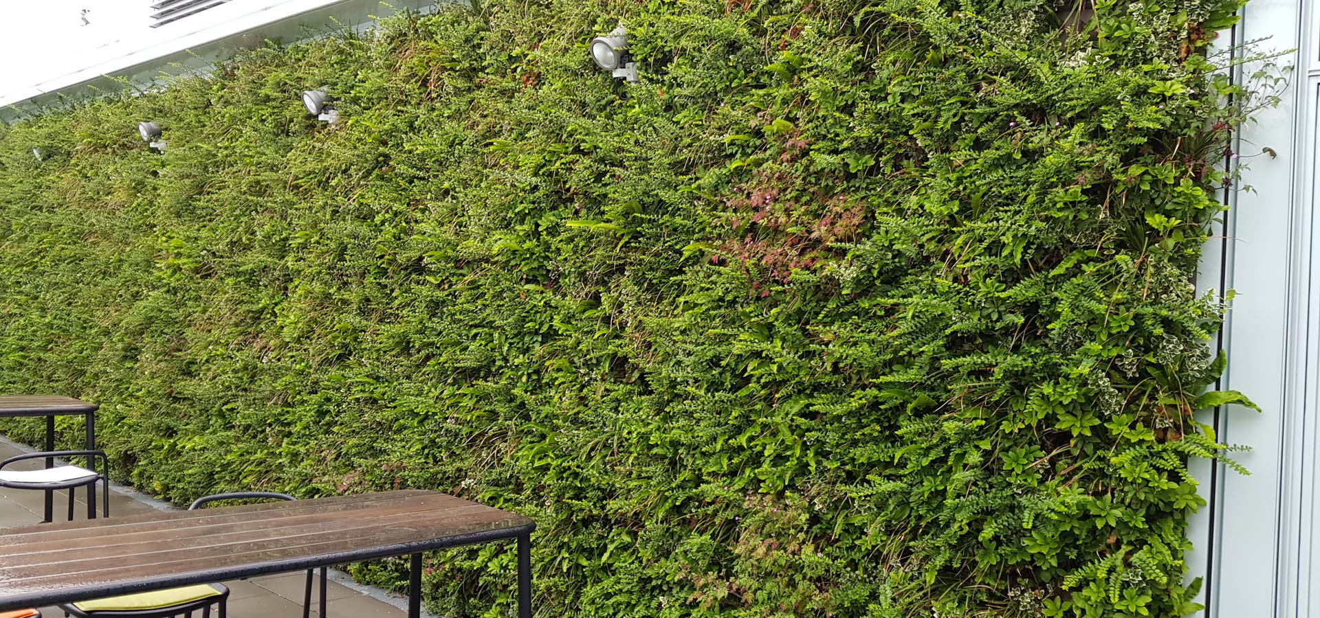 Gartenhof K�sters - Outdoor-Wandbegr�nungen