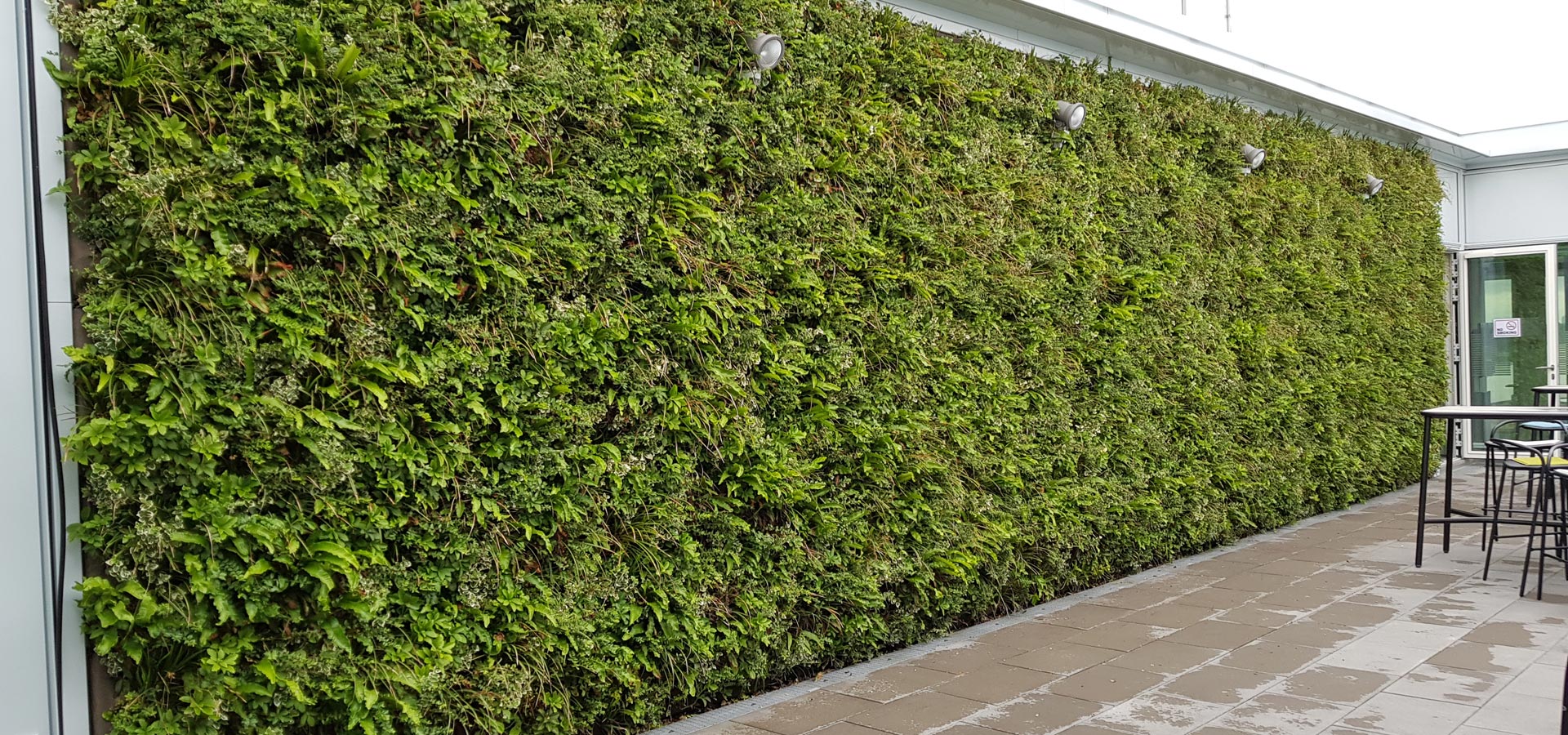 Gartenhof K�sters - Outdoor-Wandbegr�nungen