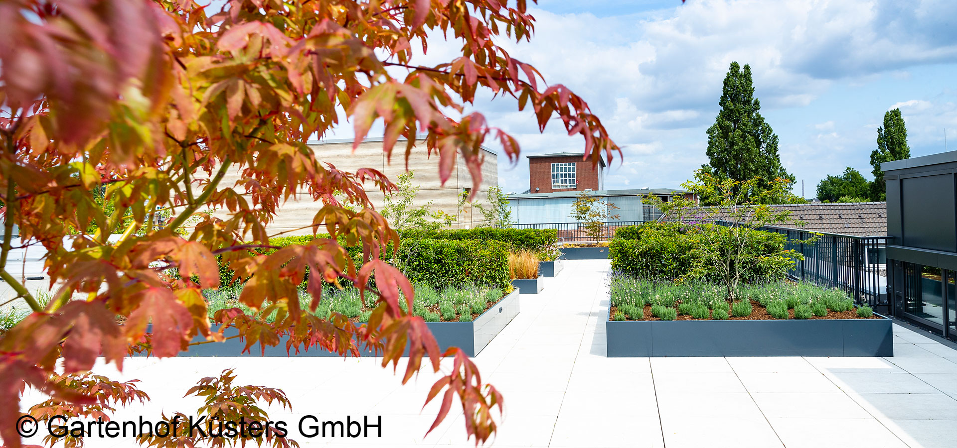 Gartenhof K�sters - Dachbegr�nung K�ln
