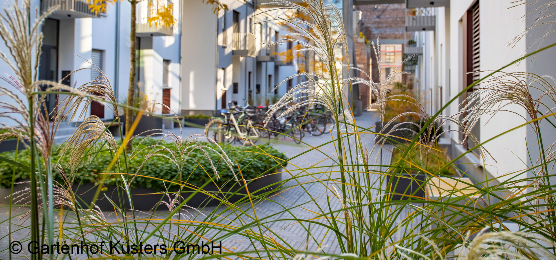 Gartenhof K�sters - K�ln Halle 17