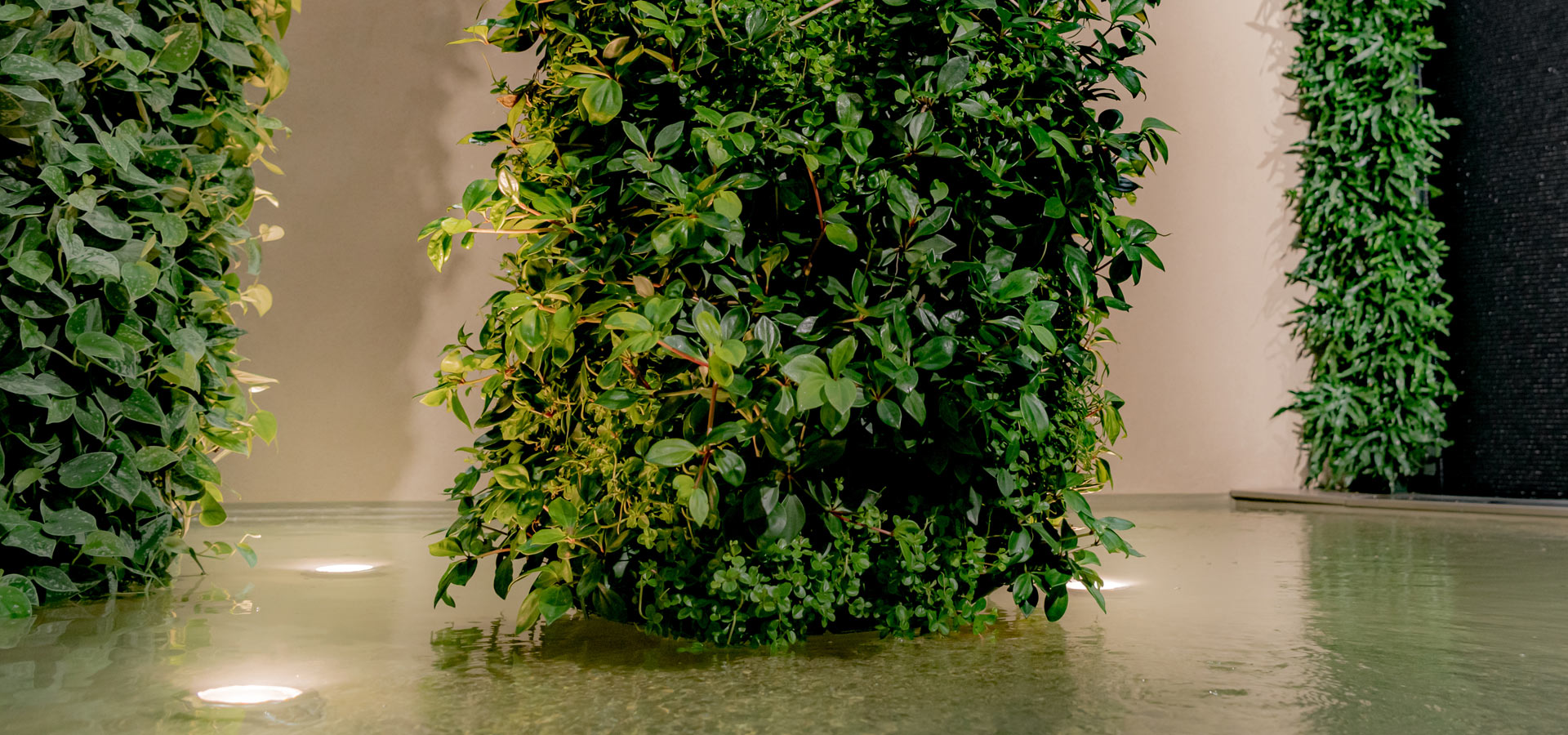 Gartenhof K�sters - Carolus Thermen