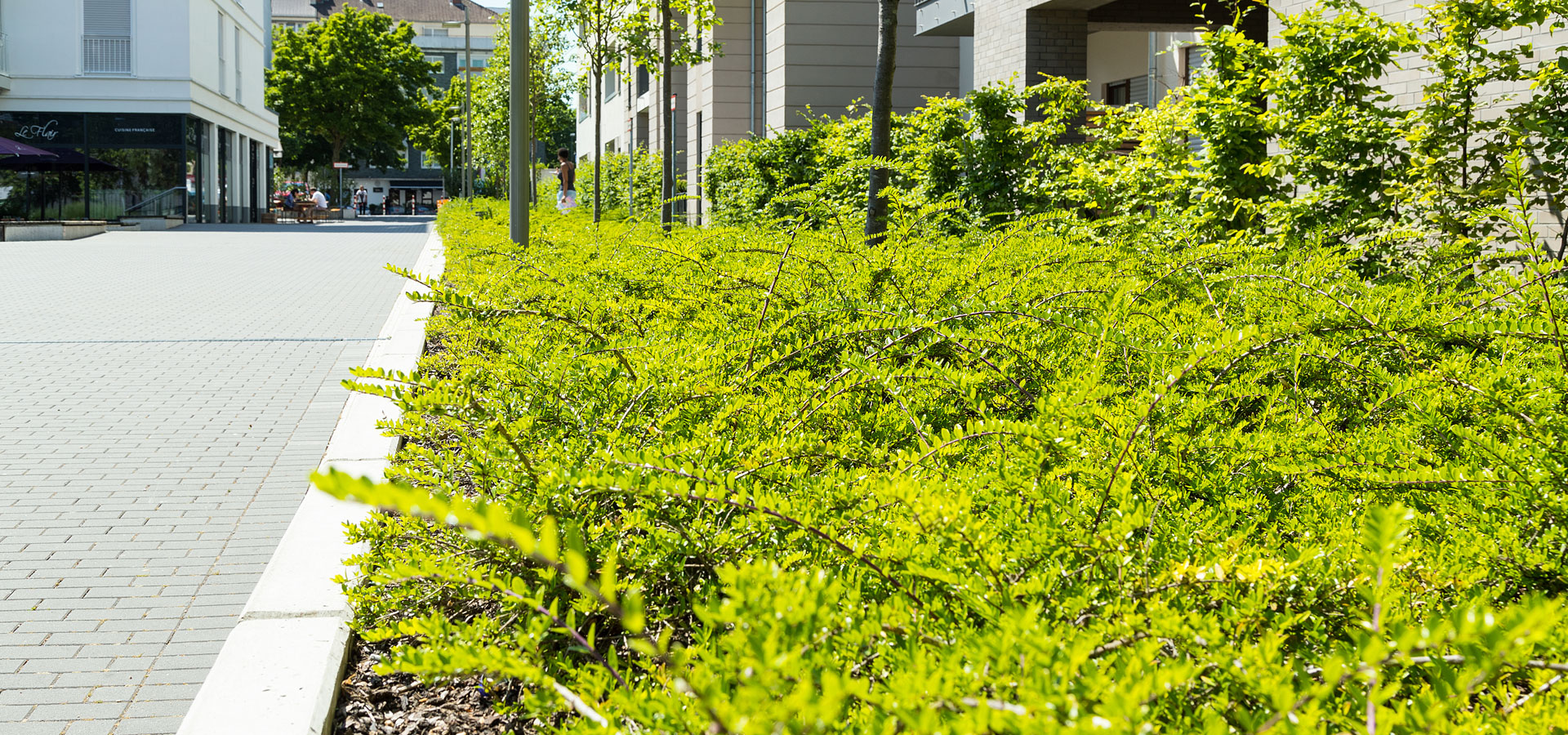 Gartenhof K�sters - Le Flair Marc Chagall II D�sseldorf