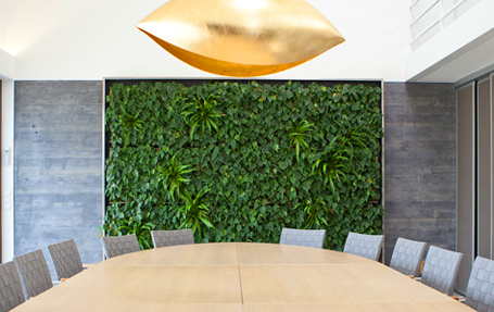 Innenraum- /Wandbegr&uuml;nung